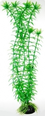 Sztuczna roślina akwariowa Anacharis 30cm HAILEA